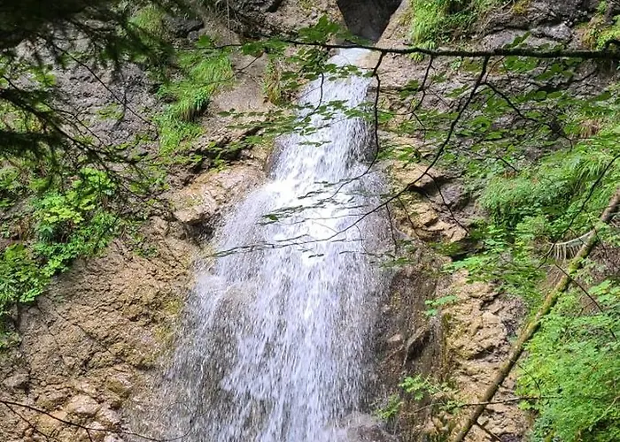 아파트 Hoernleblick