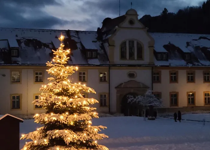 Hoernleblick 아파트 *