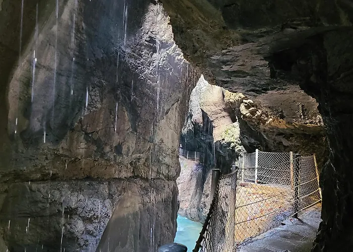 Hoernleblick 아파트