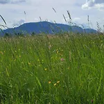 Bergliebe