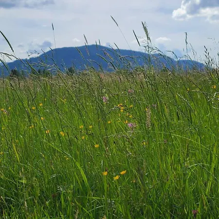 Hörnleblick
